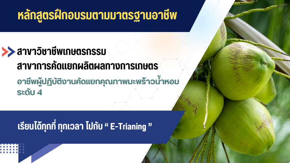 สาขาวิชาชีพเกษตรกรรม สาขาการคัดแยกผลิตผลทางการเกษตร อาชีพผู้ปฏิบัติงานคัดแยกคุณภาพมะพร้าวน้ำหอม ระดับ 4